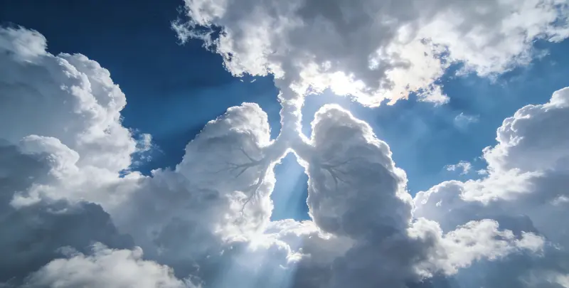 葫芦岛肺癌12基因ctDNA突变检测(血液）图片1