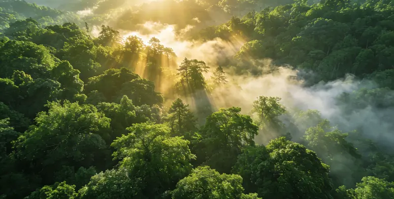 葫芦岛肺癌68基因检测图片1