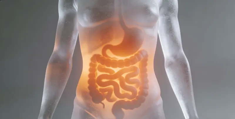 葫芦岛肠癌甲基化检测图片1